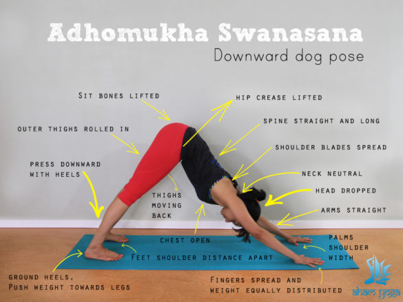 Adhomukha Swanasana (Downward facing dog) - Aham Yoga Blog