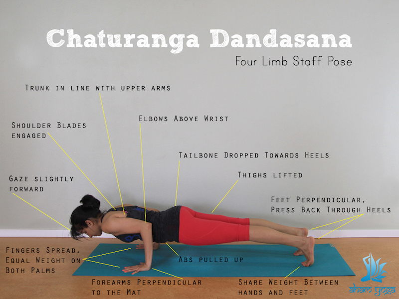 Four Limbed Staff Pose (Chaturanga Dandasana)