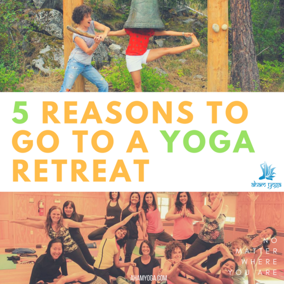 Summer Yoga Retreat