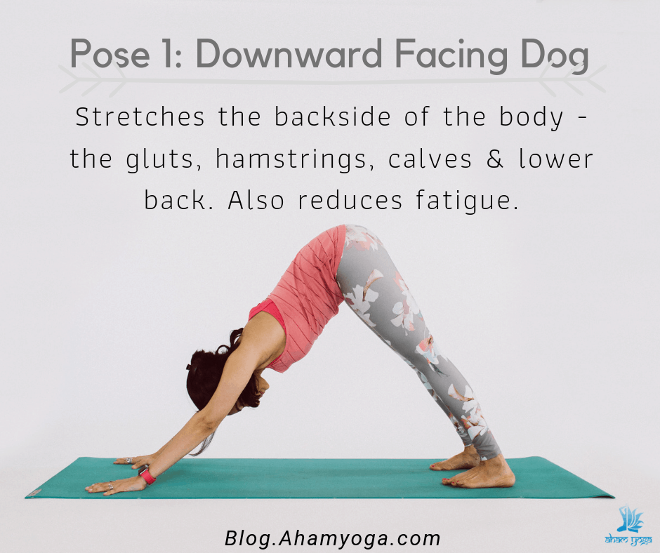 Adhomukha Swanasana (downward facing dog) is an excellent pose to do post gym workouts. Stretches the back side of the body to release soreness.